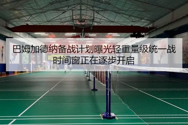 巴姆加德纳备战计划曝光轻重量级统一战时间窗正在逐步开启